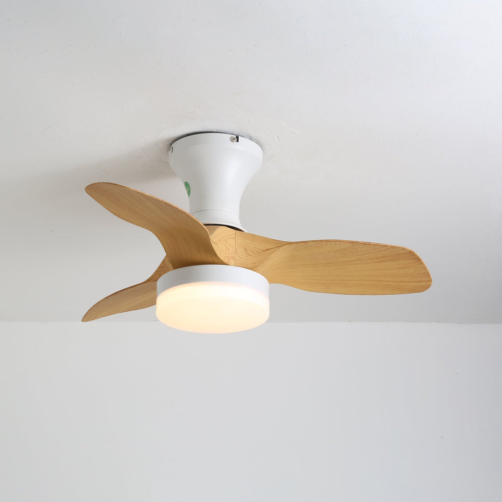 Brisa Ceiling Fan Light - Vakkerlight