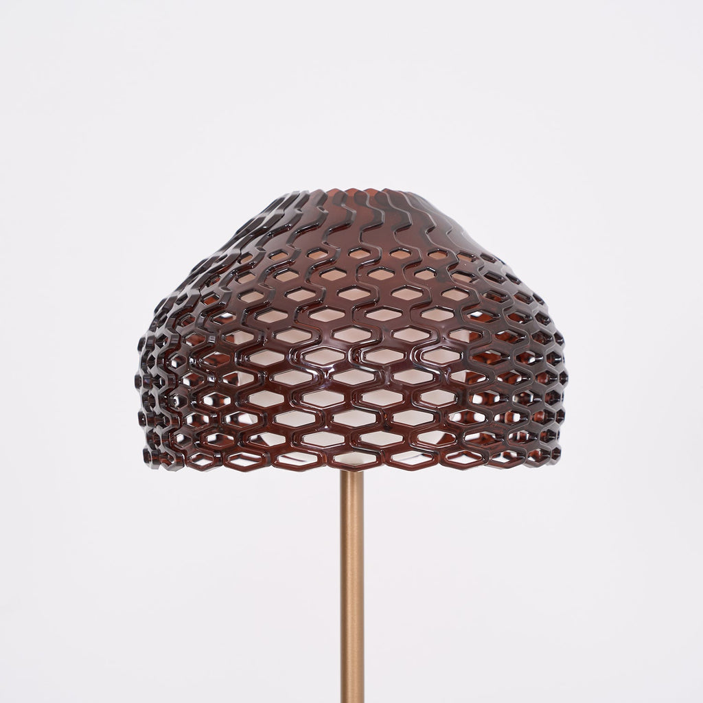 Настільна лампа Armadillo