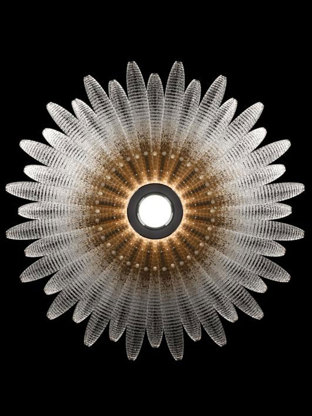 Кришталева люстра Aurelia Glass Petal