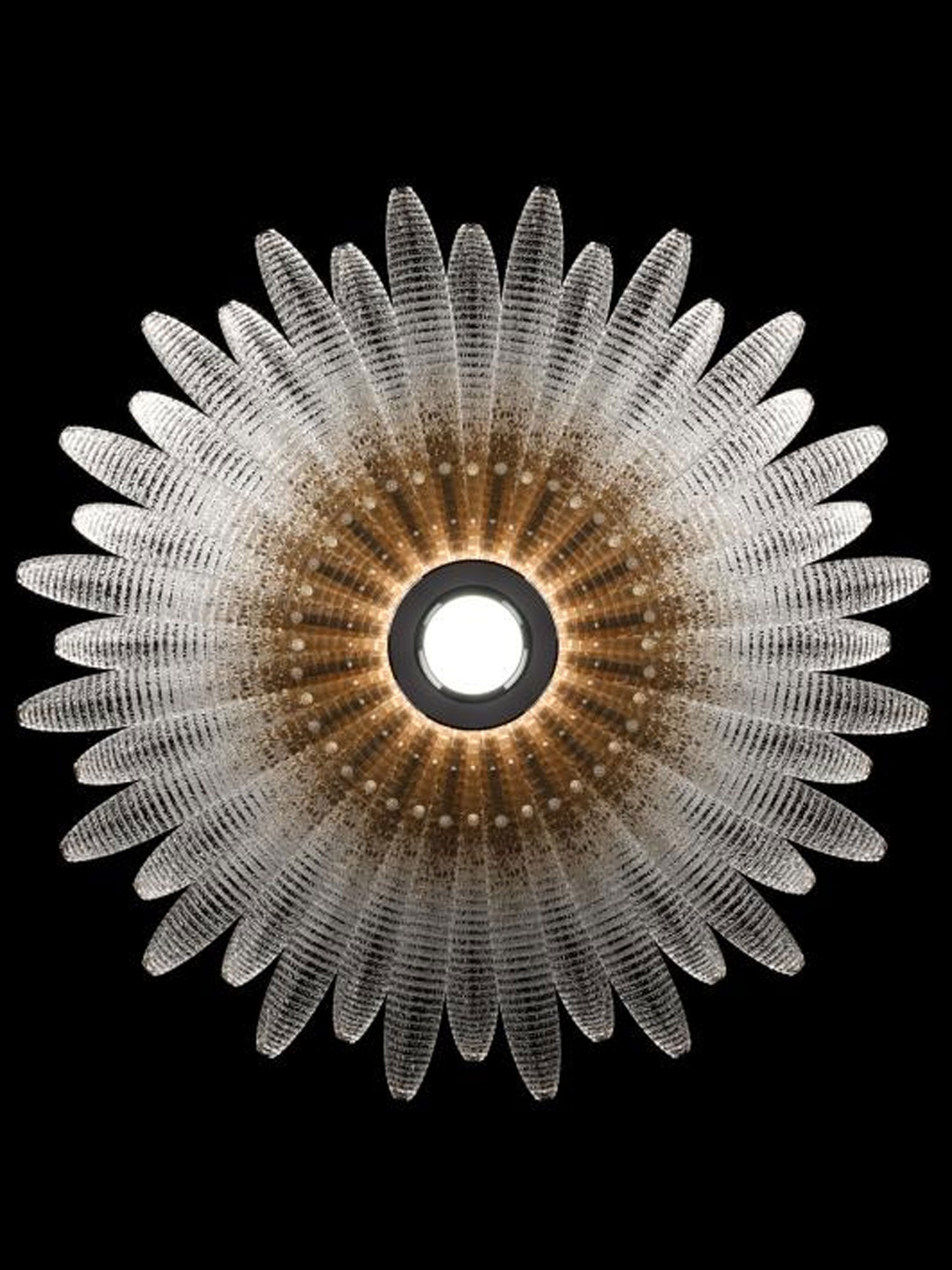 Кришталева люстра Aurelia Glass Petal