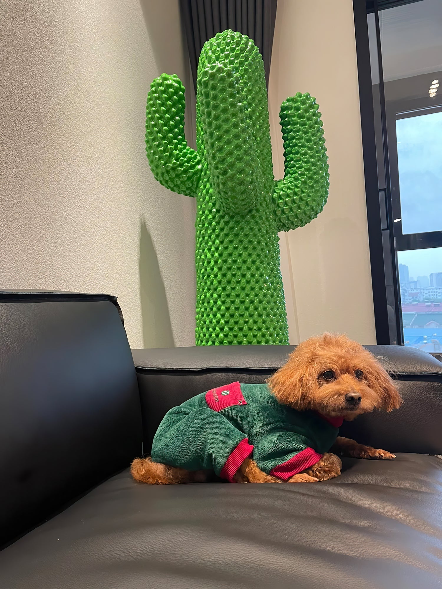 Скульптурна вішалка Mello Cactus