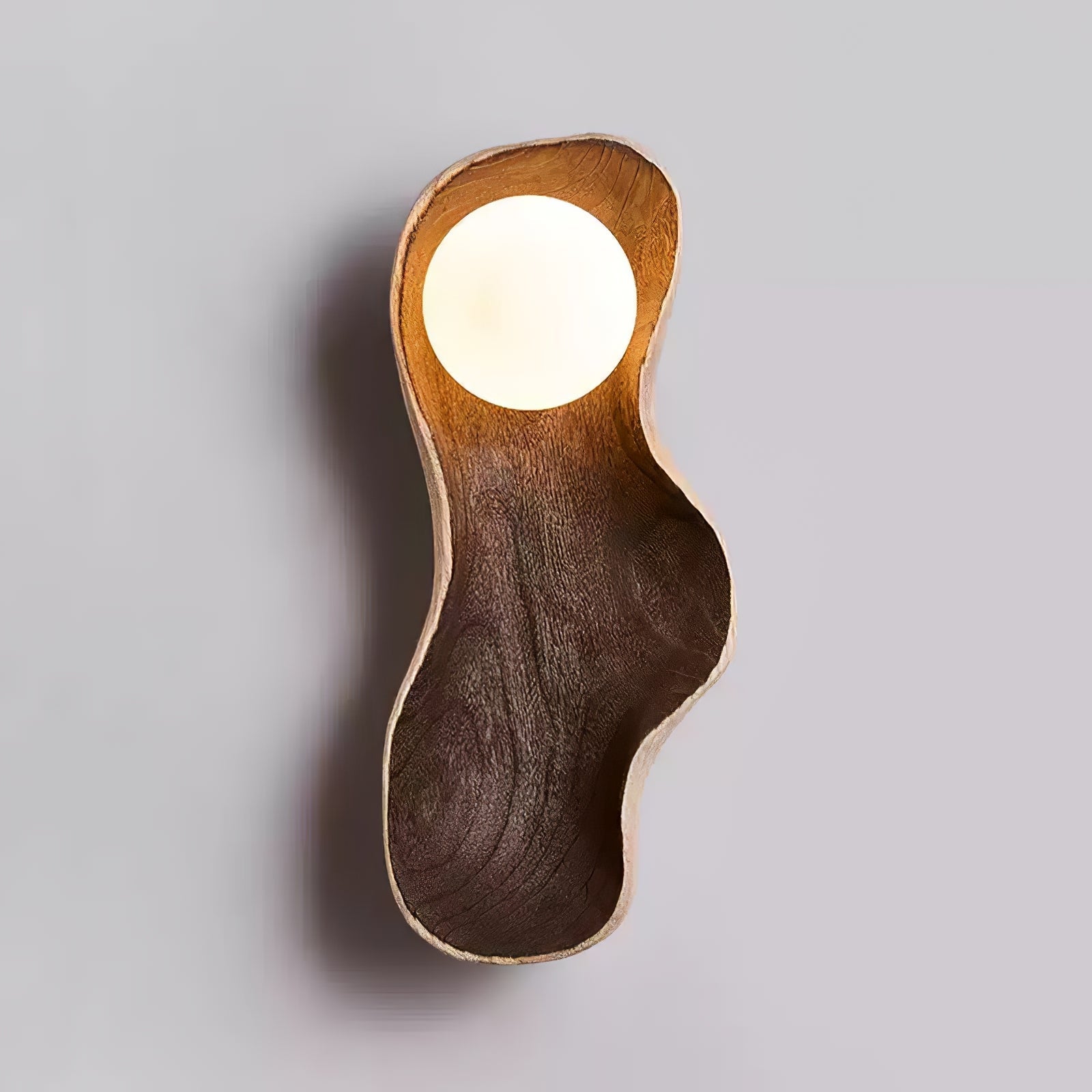 Настінний світильник Dualis Rootlight