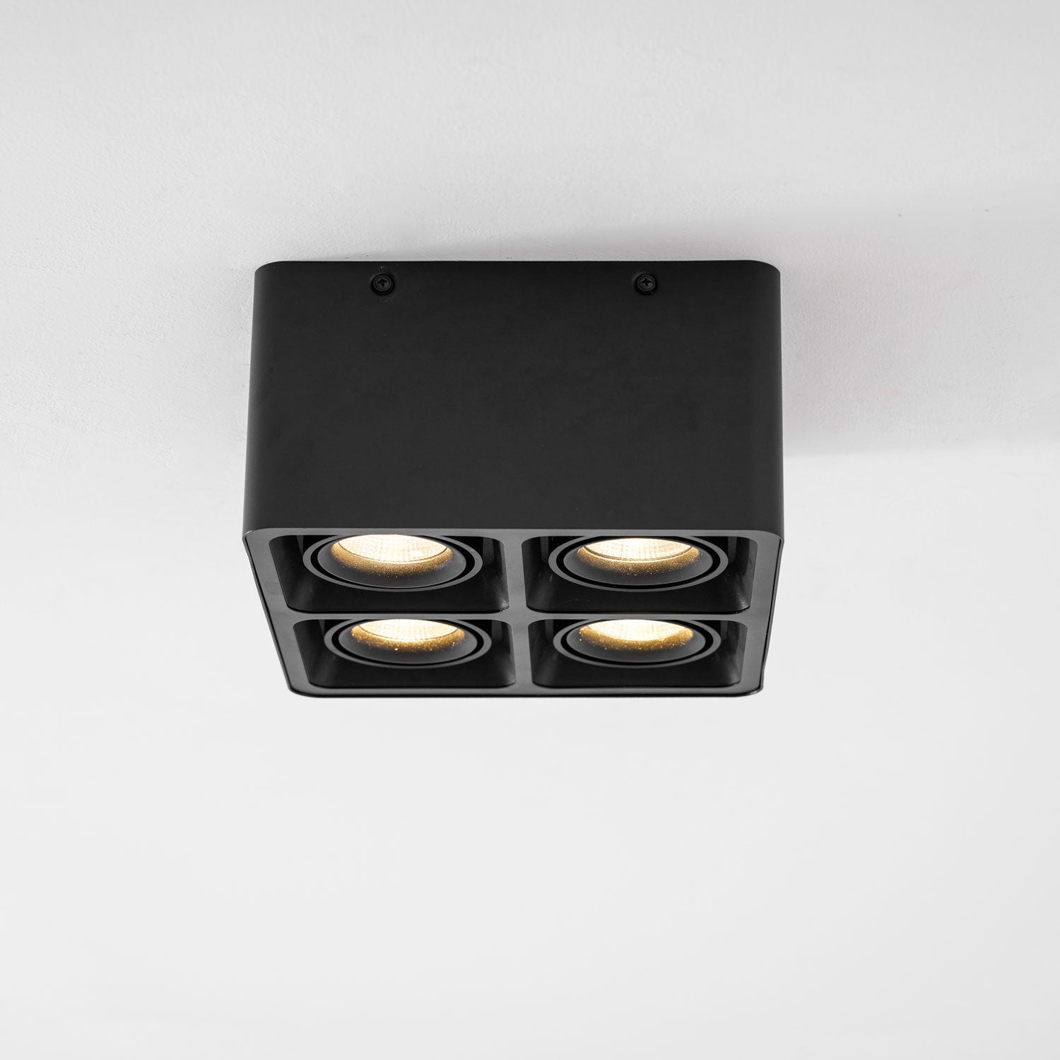 Giyan Surface Spotlight