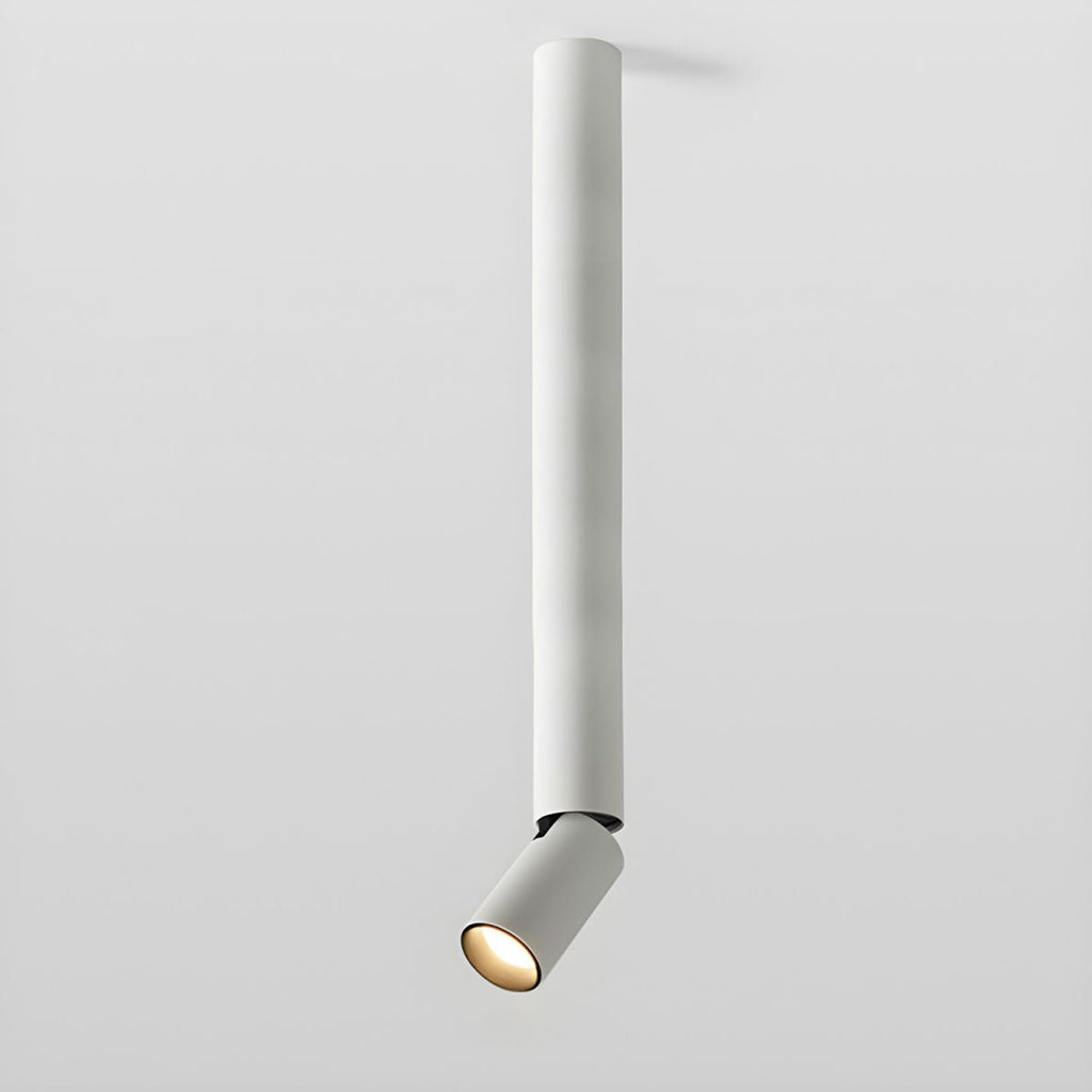 Накладний точковий світильник Julian з регулюванням