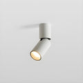 Julian Adjustable Surface Downlight - DEPRIMO