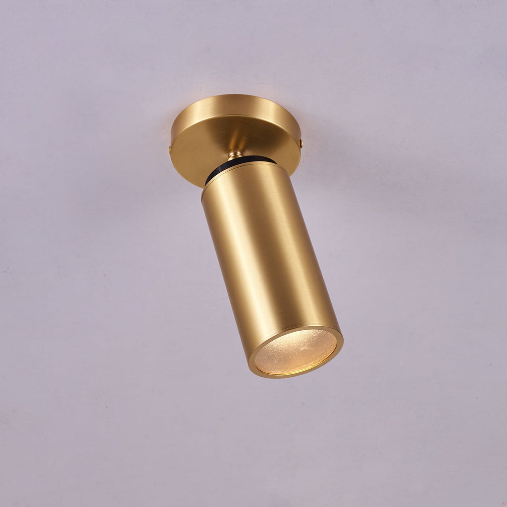 Horizon Brass Spot Light - Vakkerlight