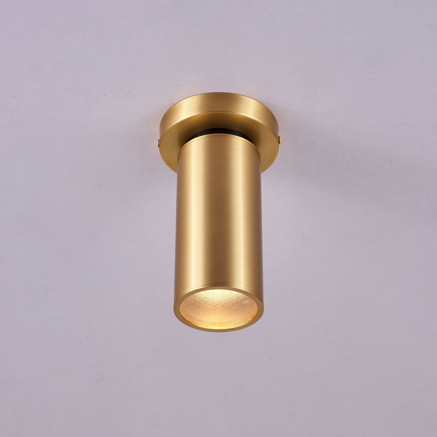 Horizon Brass Spot Light - Vakkerlight