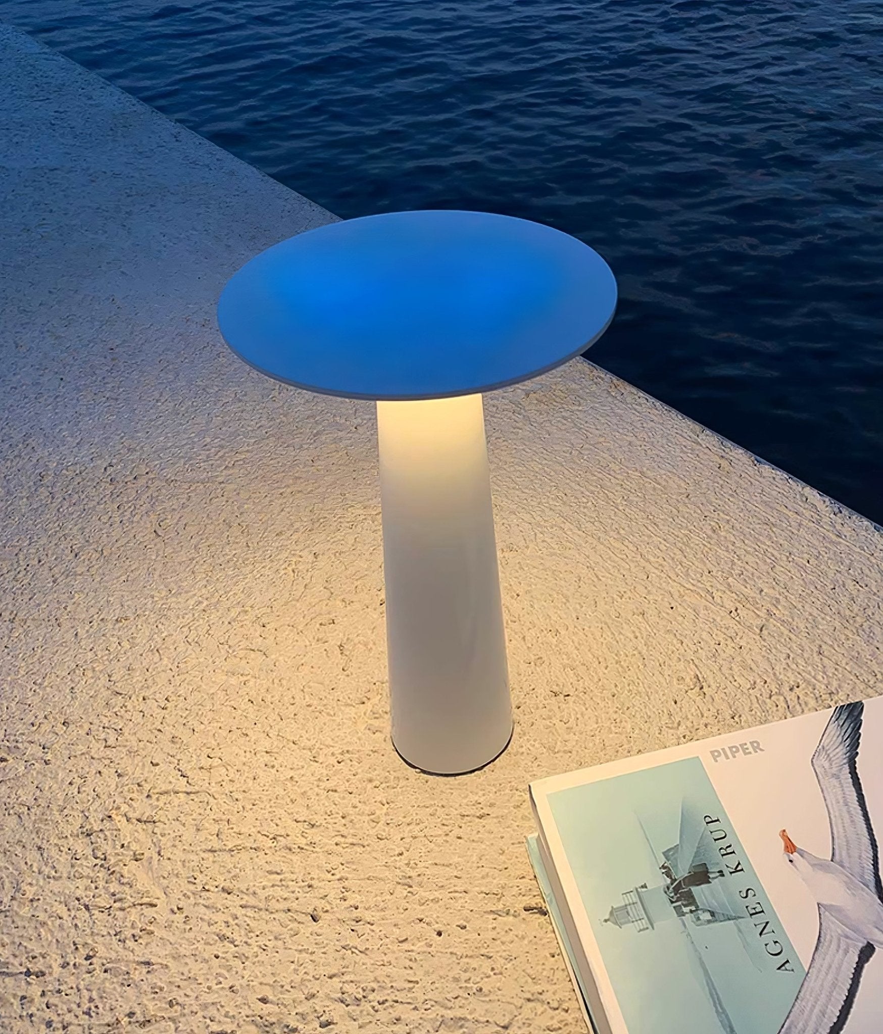 Настільний вуличний світильник Luma Disk