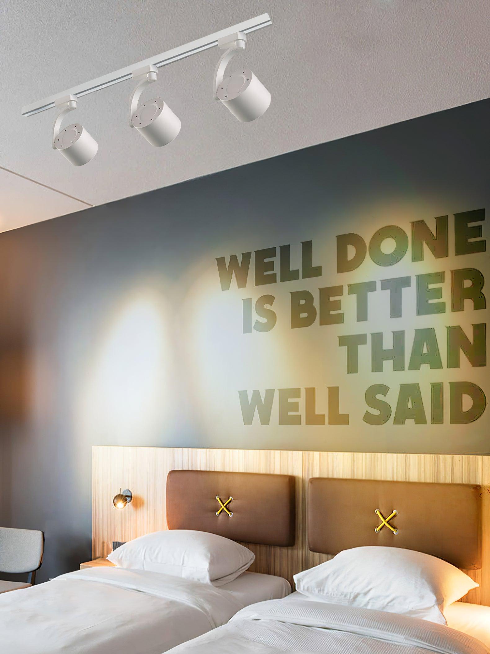 Потолочный светильник Paloma