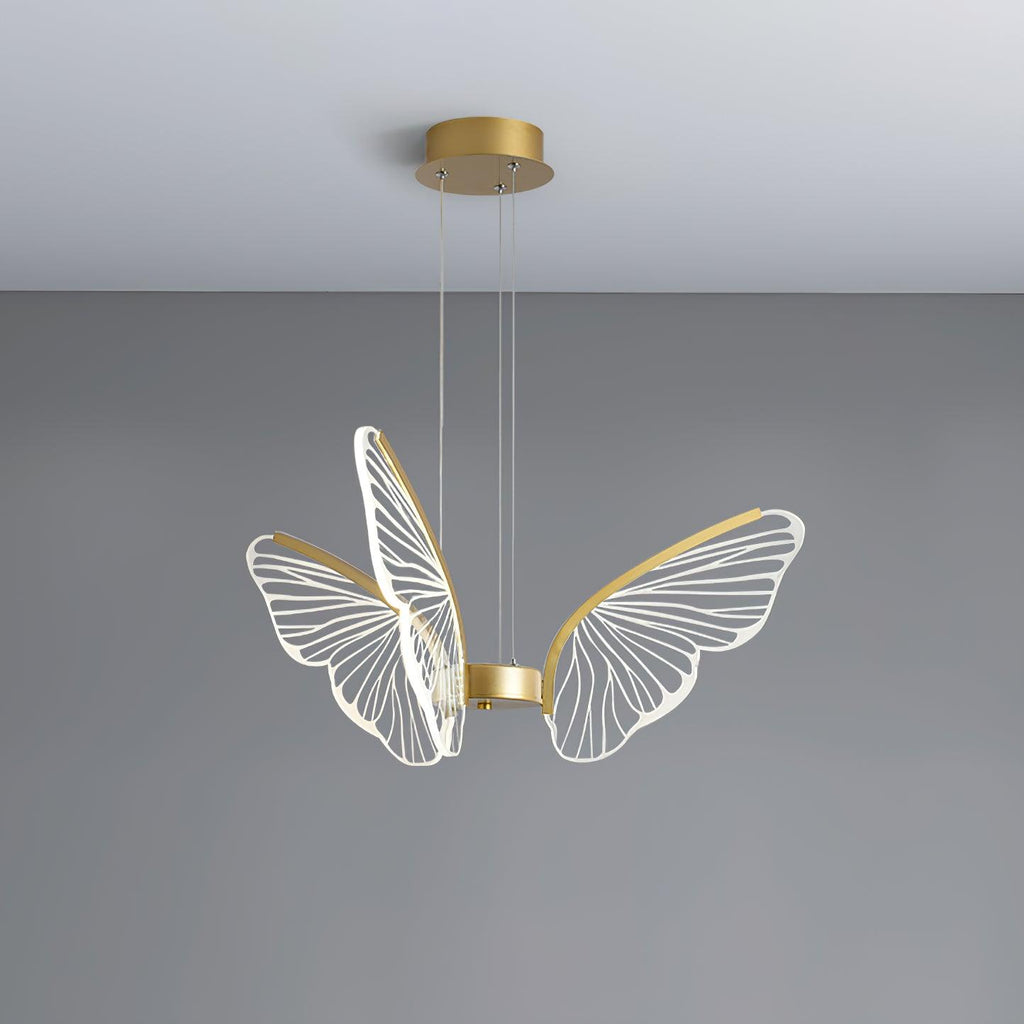 Phalaenopsis Chandelier - DEPRIMO