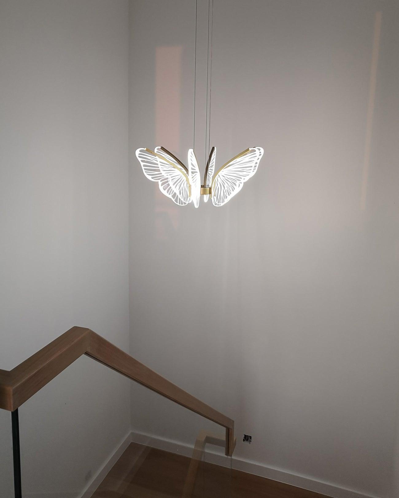 Фаленопсис Люстра
