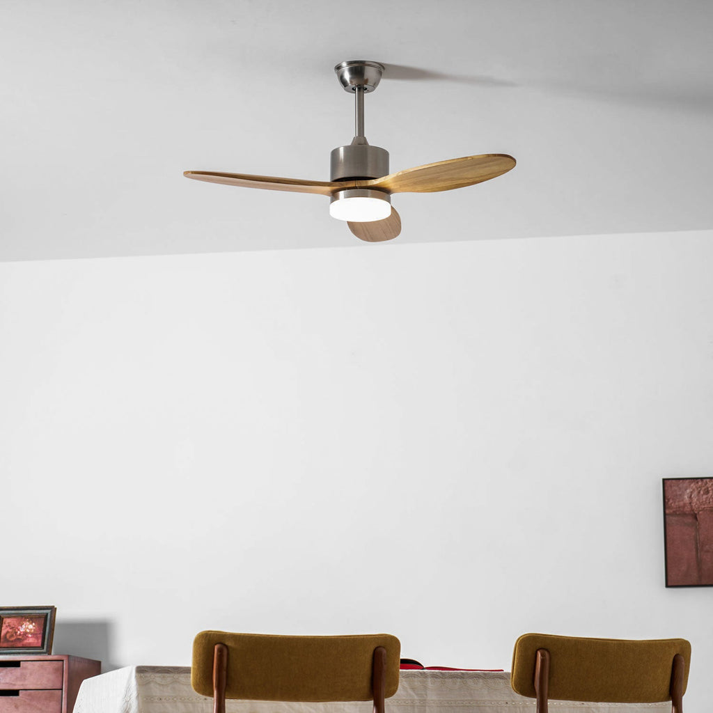 Polaris Ceiling Fan Light