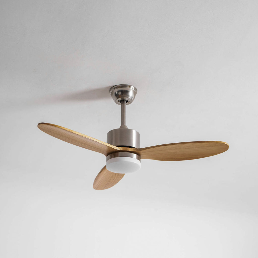 Polaris Ceiling Fan Light