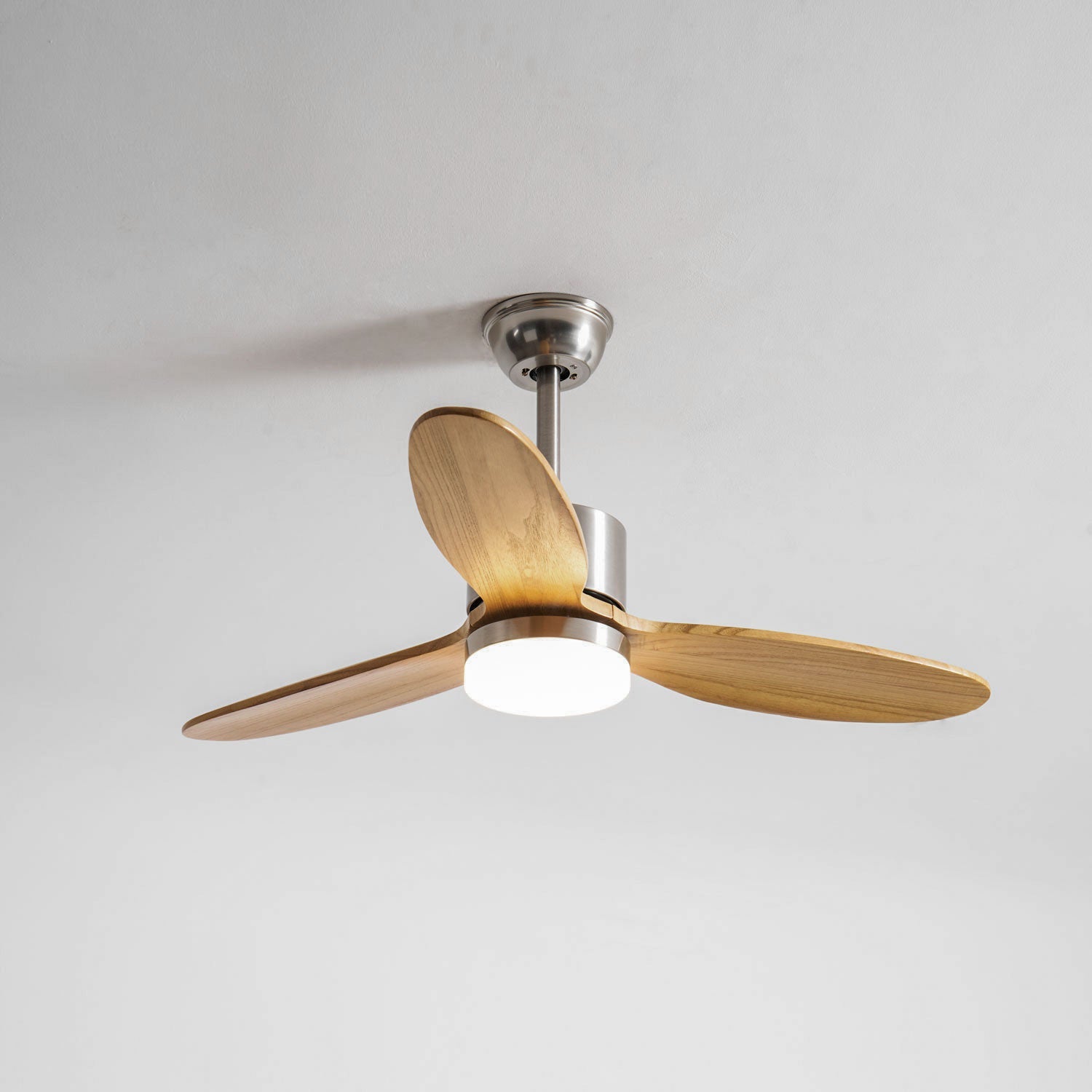 Polaris Ceiling Fan Light