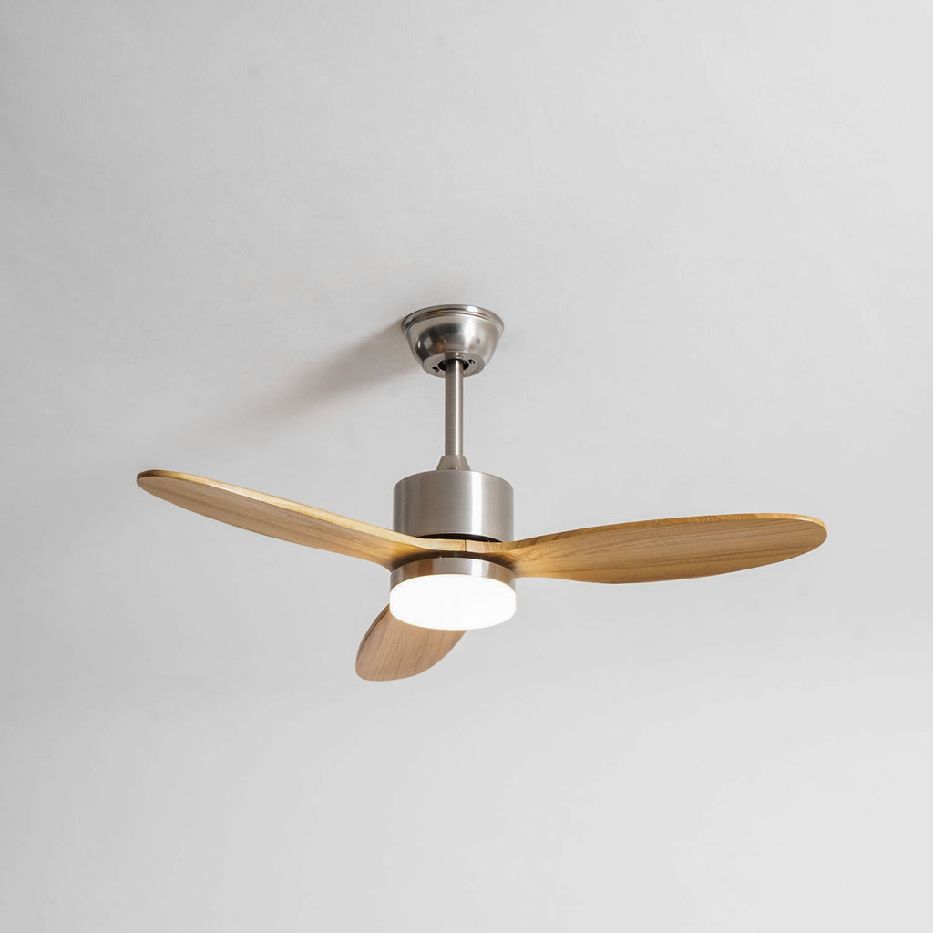 Polaris Ceiling Fan Light
