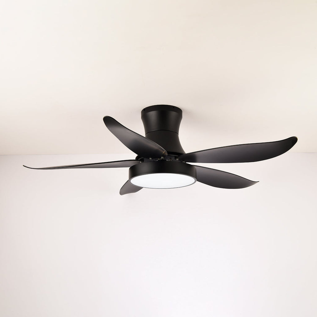 Zephyr Noir Ceiling Fan Light - Vakkerlight