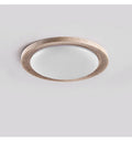 Terralux Ceiling Light - Vakkerlight