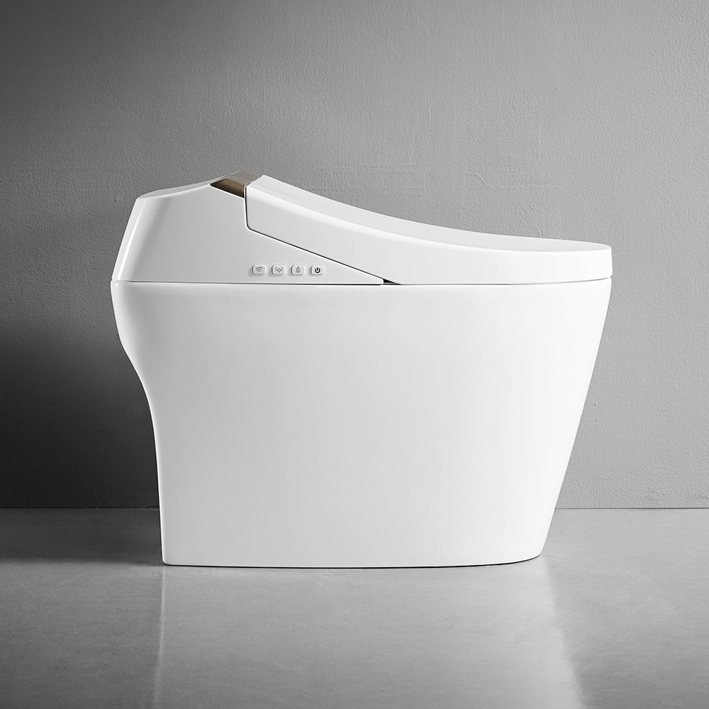 Унітаз Окремий Білий & Золотий SLAVGO 38065