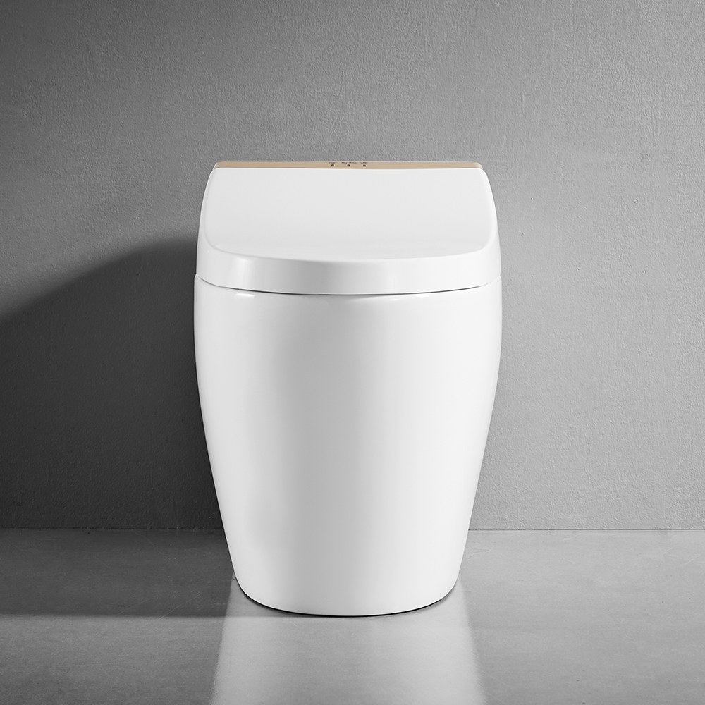 Унітаз Окремий Білий & Золотий SLAVGO 38065