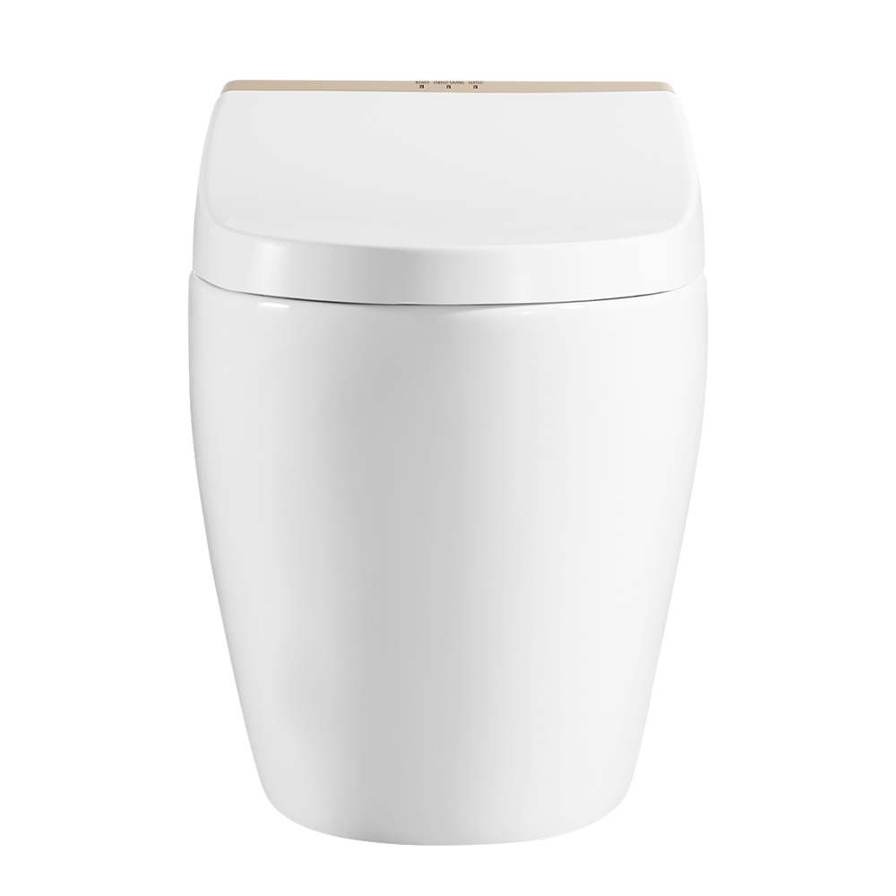 Унітаз Окремий Білий & Золотий SLAVGO 38065