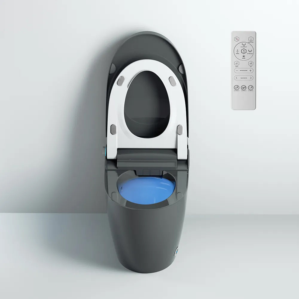 Унітаз Окремий Сірий SLAVGO 37774