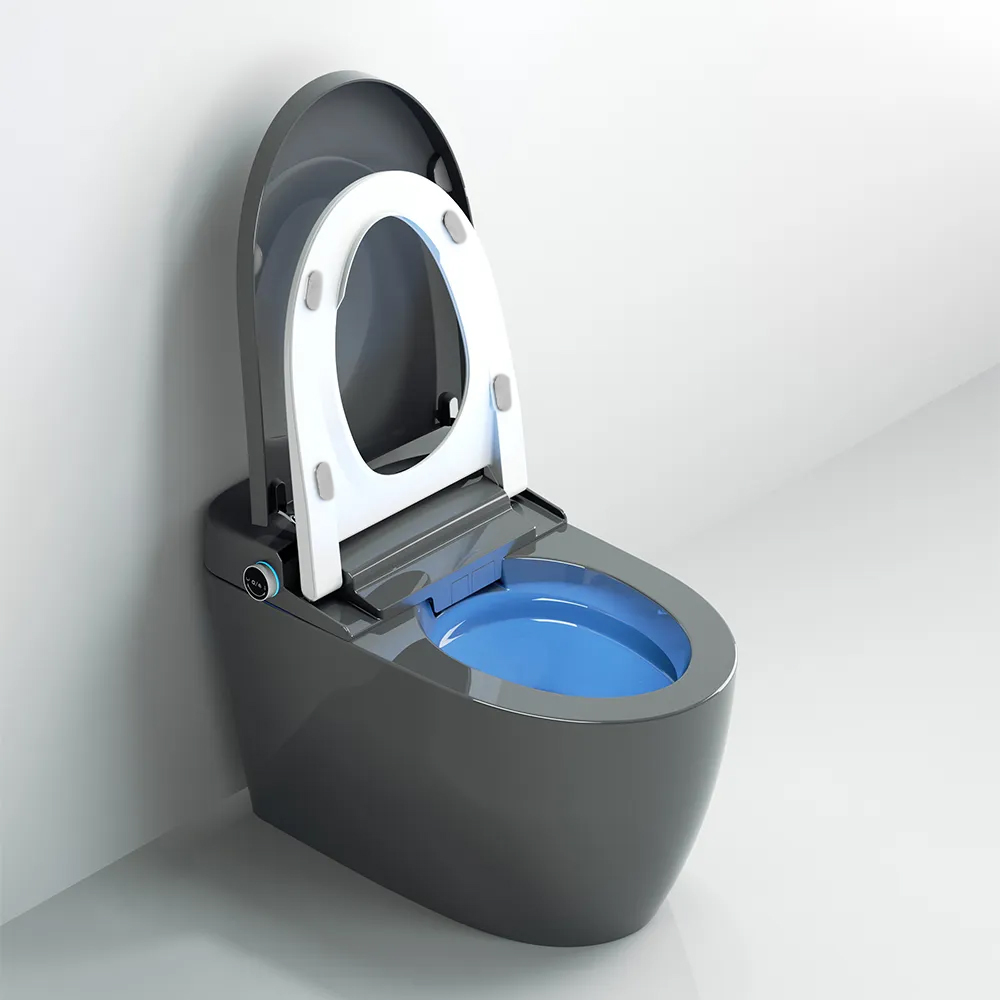 Унітаз Окремий Сірий SLAVGO 37774